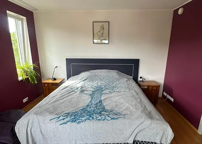 Valgevase 11a 1 Apartment Tallinn